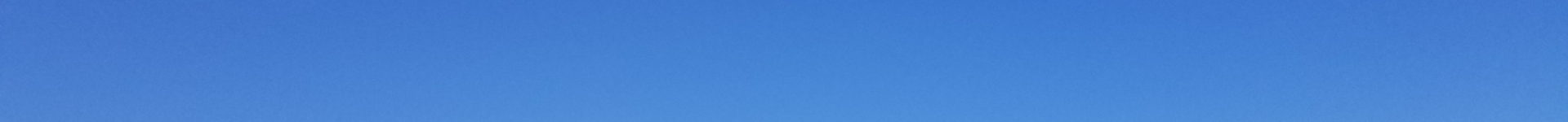 スポーツフェスティバル(運動会) 2020