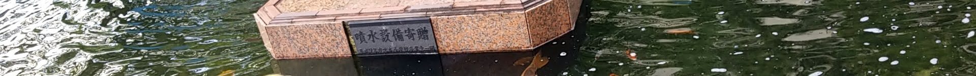 観察池清掃 2021 春