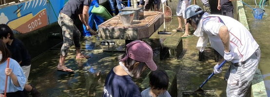 観察池清掃 2024 春